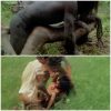 Rape Scene in Cannibal Holocaust (1980), Second Episode. Rape Scene in Cannibal Holocaust (1980), Second Episode.
