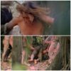 Francesca Ciardi, Rape Scene in Cannibal Holocaust (1980).