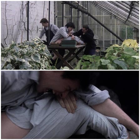 Сlassmates raped a guy in a flower greenhouse