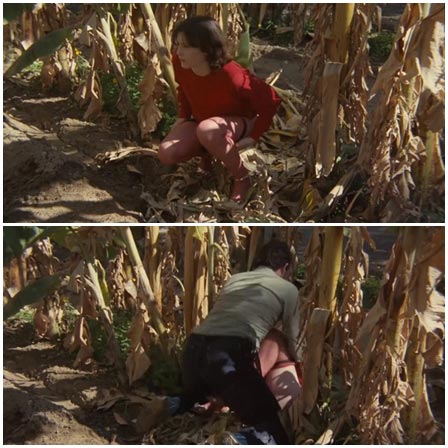 Woman is raped by a guard while peeing in a cornfield