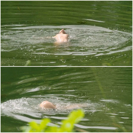 Nude Cécile de France skinny dipping in Bonnard Pierre et Marthe (2024)